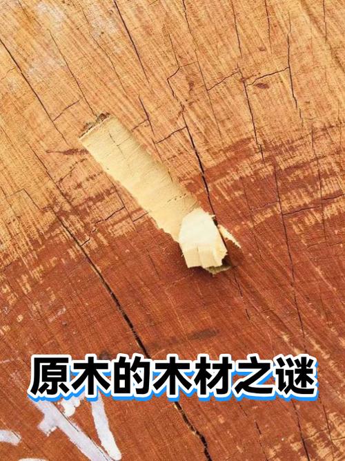 去皮苍白橡木英文