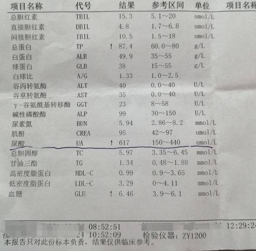 体检报告单电子版在哪查询