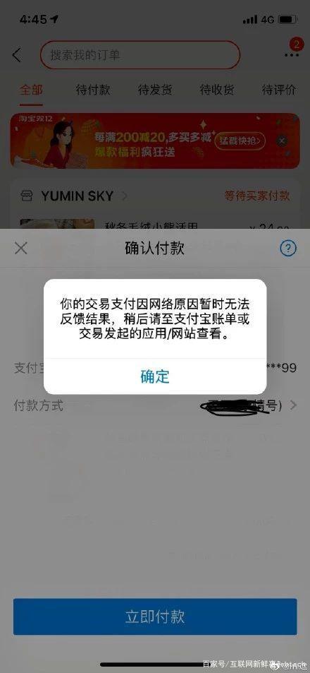 支付宝不弹出支付页面