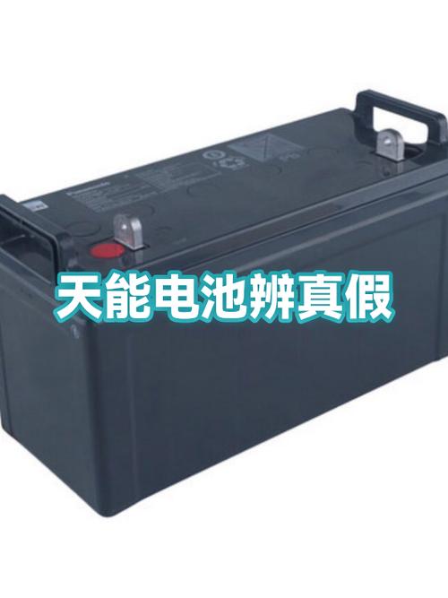 天能电池原装正品