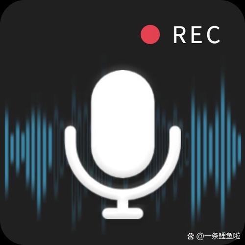 手机录音怎么转发给别人