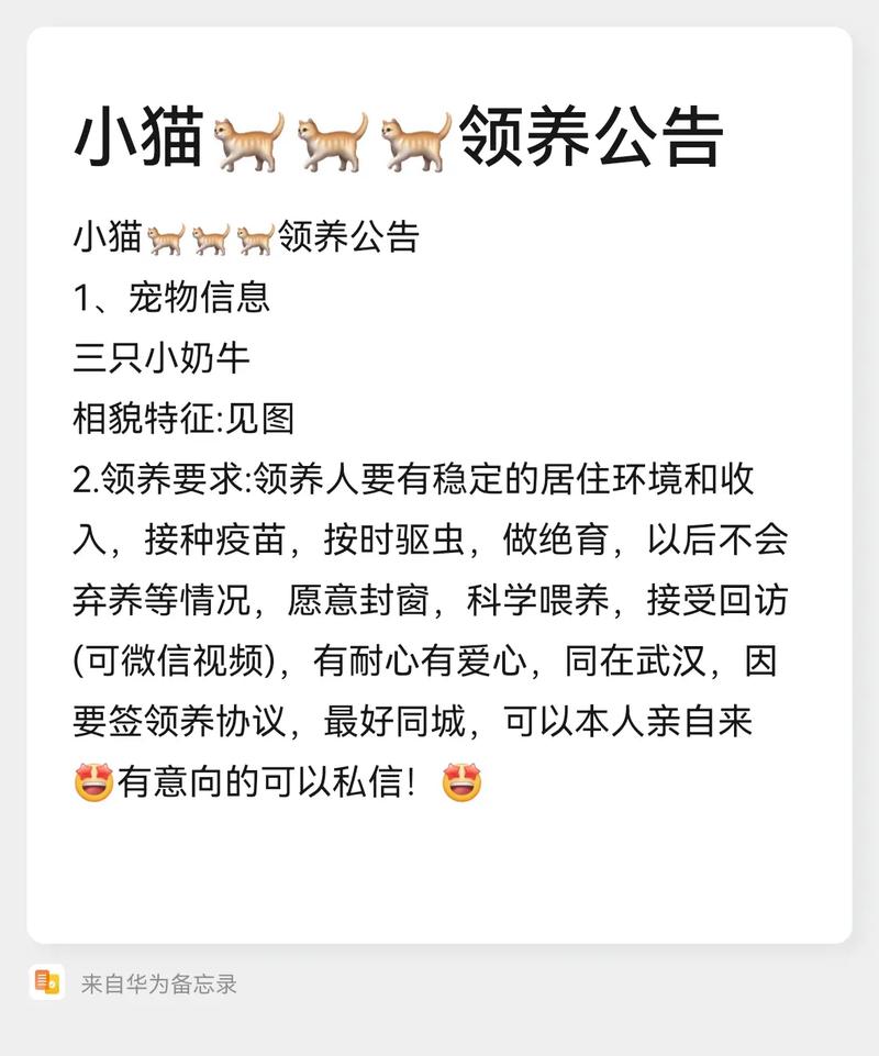 宠物街区块猫最新公告