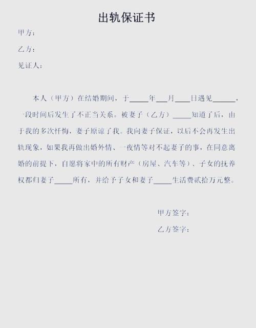 婚内保证书(通用版)
