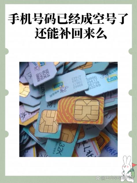 电话号码是空号了还能补回来吗