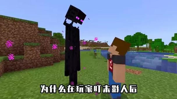 末影人正脸截图3