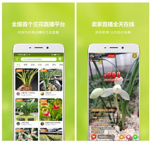 中国兰花交易网app