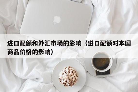 配额限制是什么意思