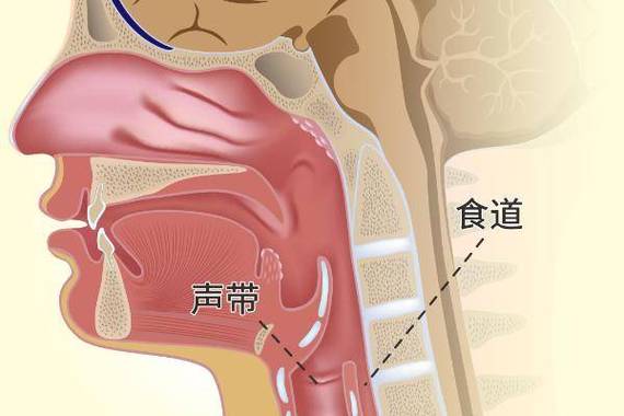 打开声带最简单的方法