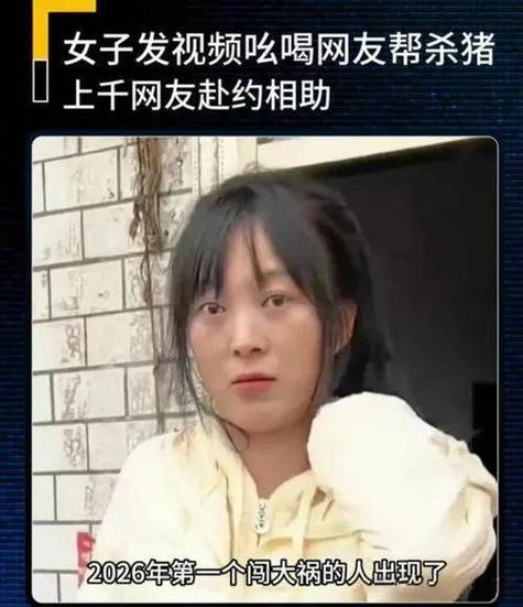 呆呆解说