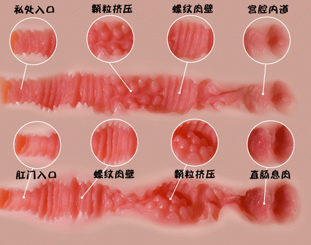 男用硅胶人实体最便宜多少钱