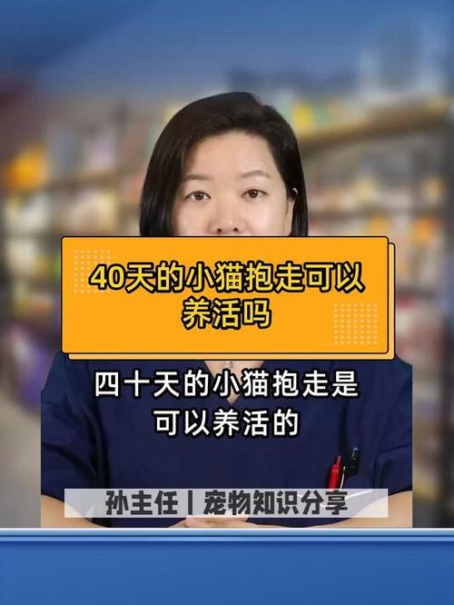 40天的小猫怎么养