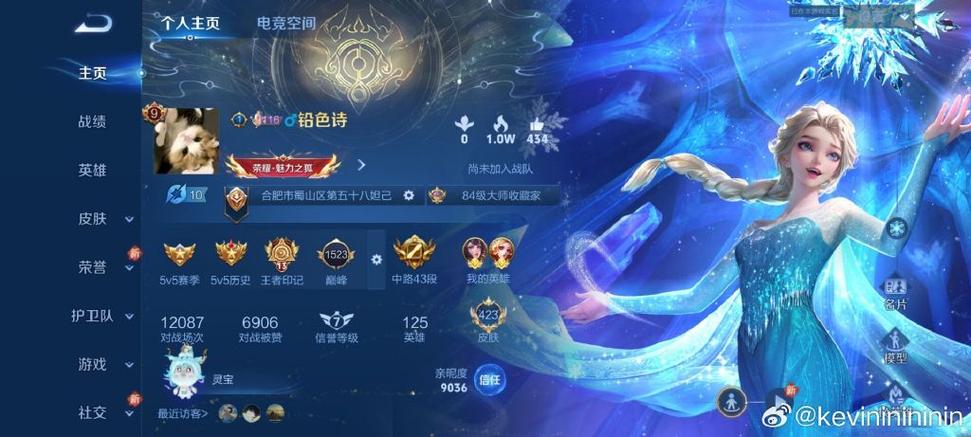 王者怎么隐藏vip等级