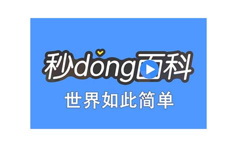秒懂版 秒懂版
