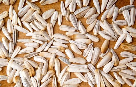种子的英文怎么读seed