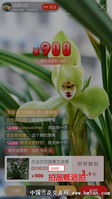 中国兰花交易网直播间