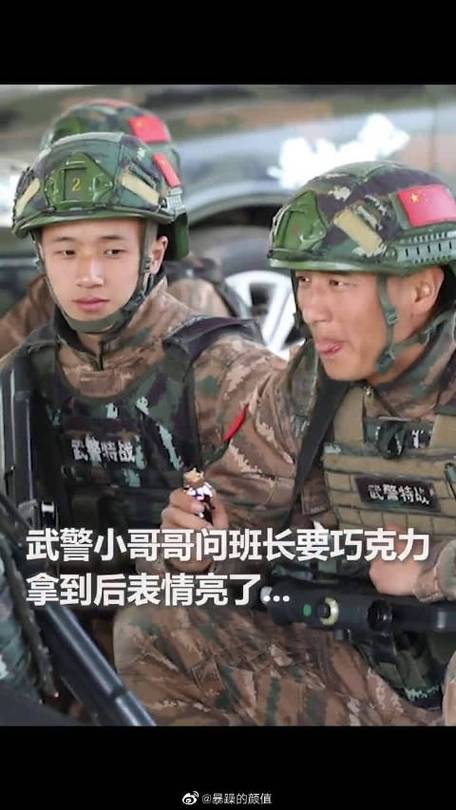 突然变成新星会员怎么办