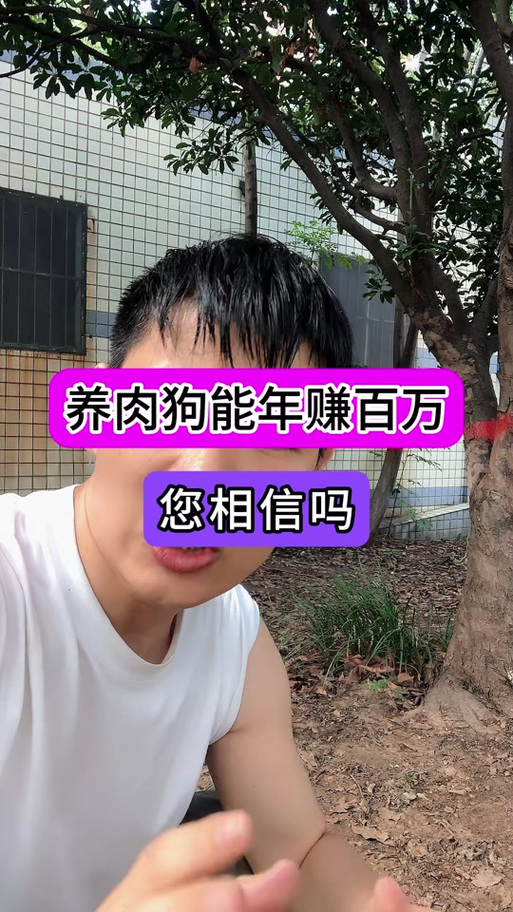 养狗可以赚钱吗