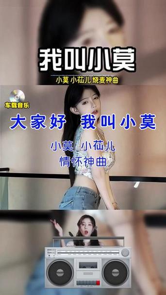大家好我叫小莫今天夜里歌