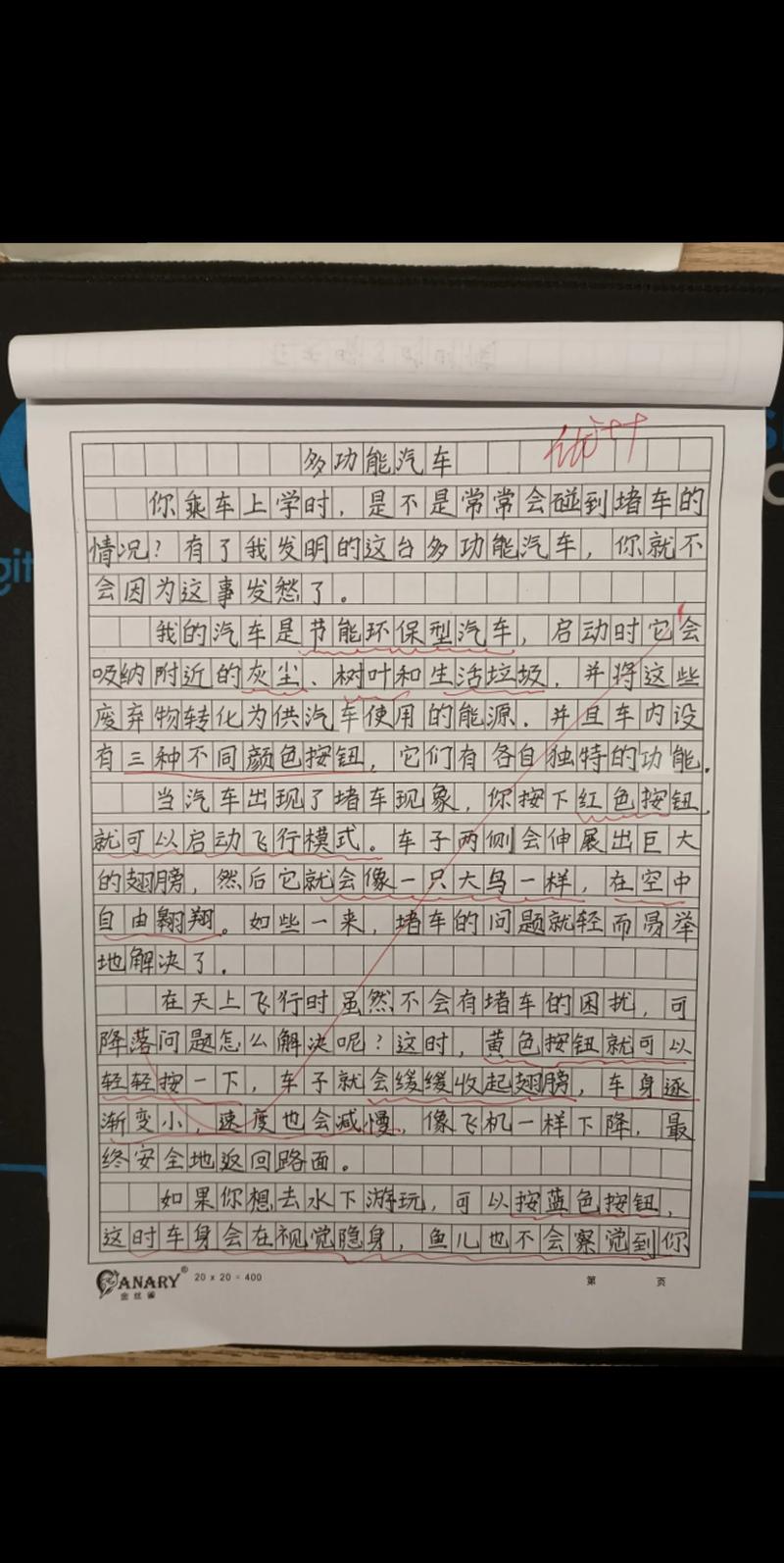 神奇的阿力作文