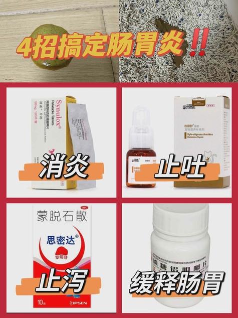 猫肠炎最怕三个消炎药