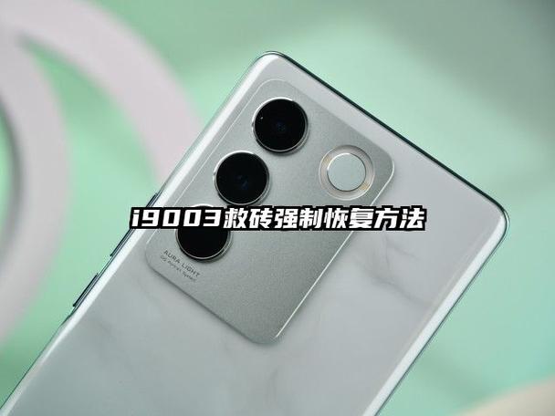 救砖强制恢复方法