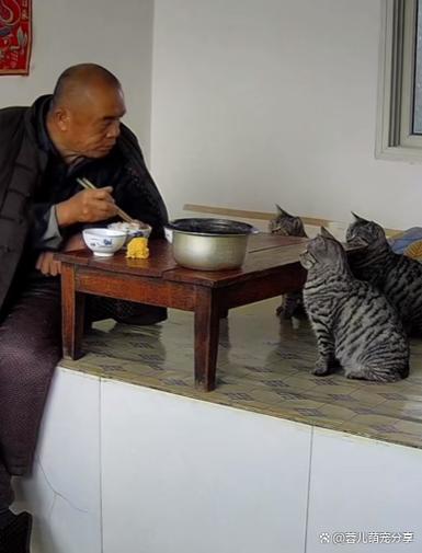 三折叠一般人养得起吗
