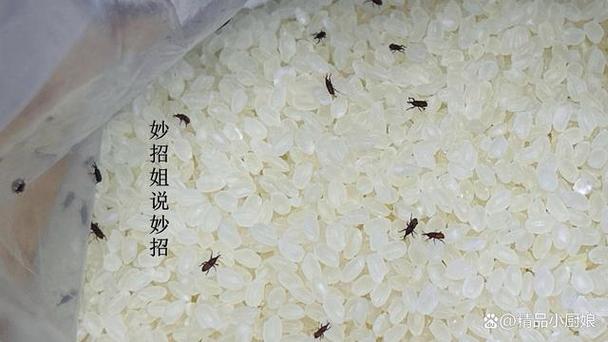 听听米app官方下载