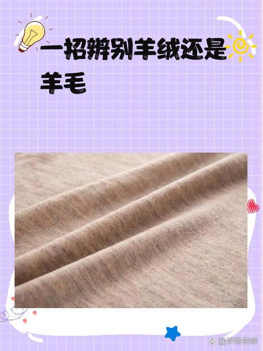 羊绒贵还是羊毛贵