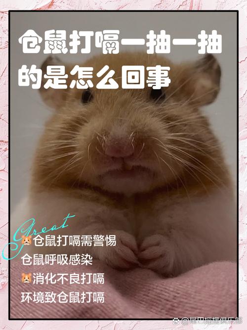 仓鼠一直打嗝会自愈吗