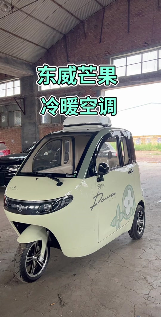 东威芒果三轮车