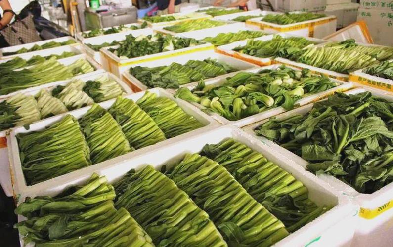 江南蔬菜批发市场