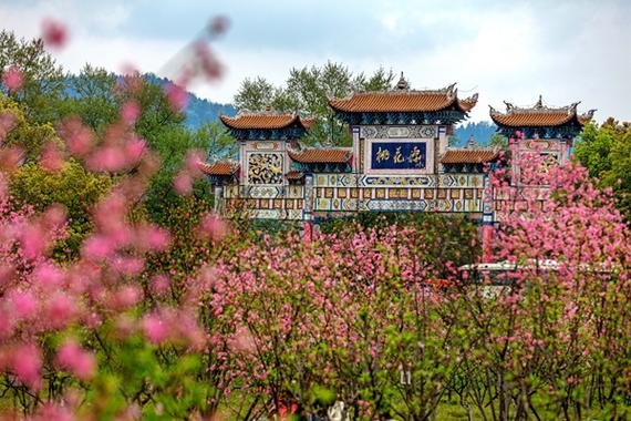 桃花源截图3