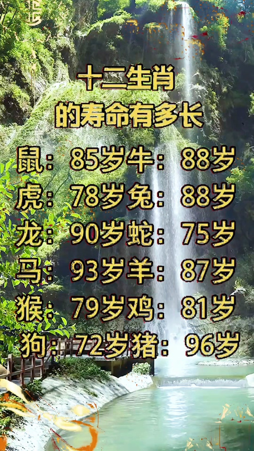 12生肖寿命排名一览表