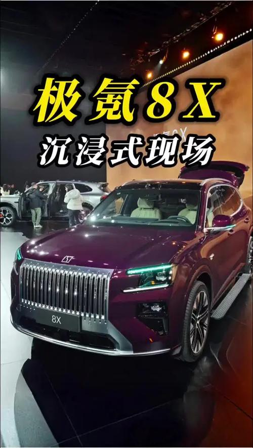极氪x9价格及图片