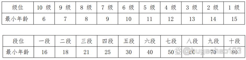 柔道一共有多少个级别