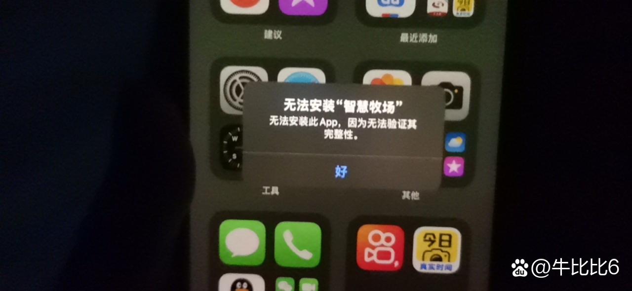苹果11无法数据上网问题
