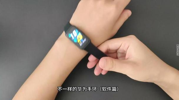 华为手环能和oppo手机连接吗截图2