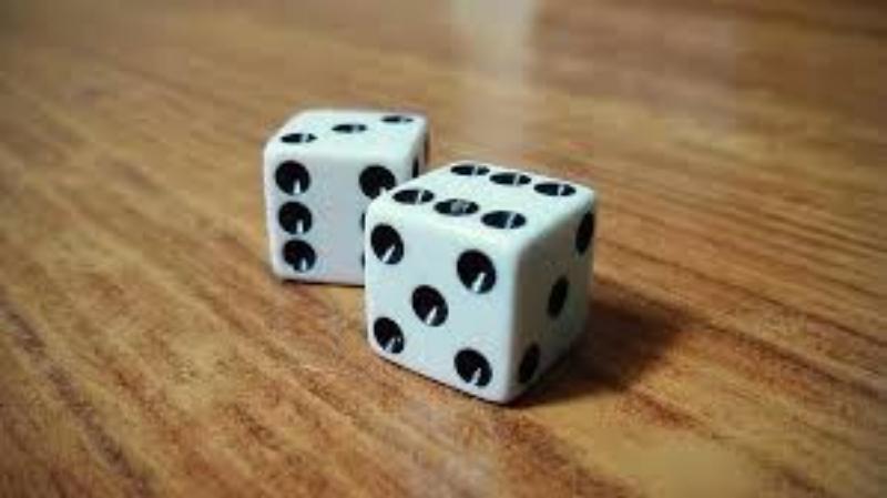 dice什么意思中文意思