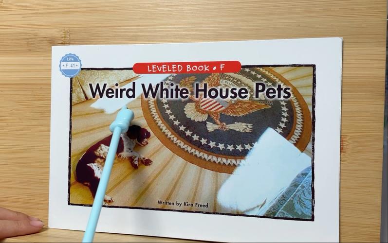 weirdo在感情中代表什么