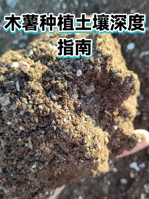 种菜需要多深的土壤