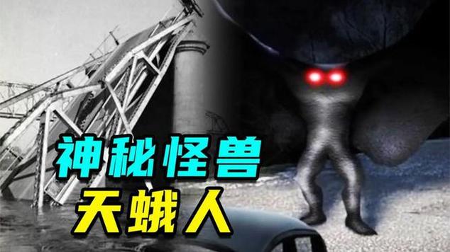 天鹅人纪录片免费观看全部