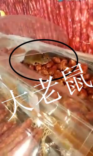 老鼠爬过的香肠最忌三种食物