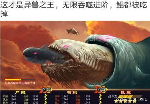 开局一条鲲百度网盘