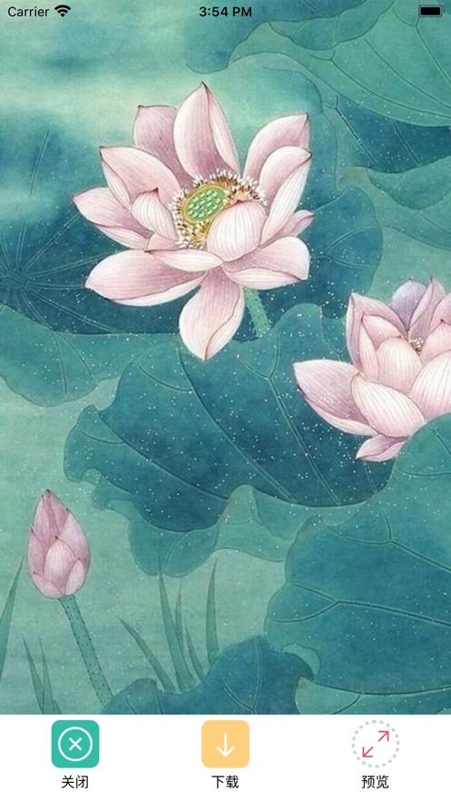 苹果手机怎么随机切换壁纸