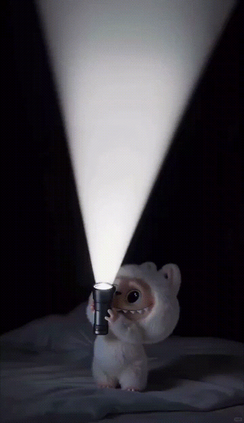 张少康最近做了什么工作