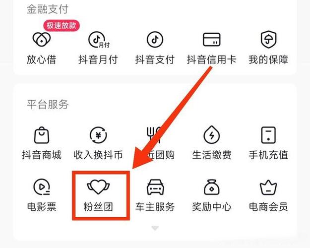 抖音粉丝团任务