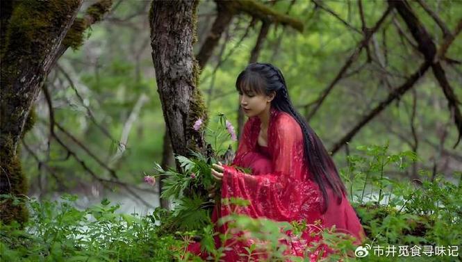 李子柒作品全集大全 李子柒作品全集大全