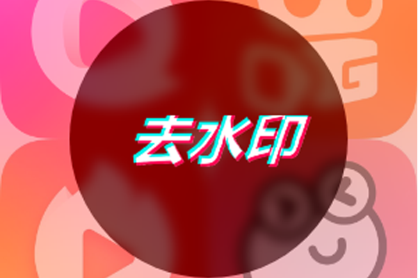 皮皮去水印小程序