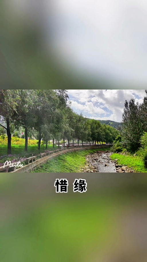 惜缘的绝美佳句 惜缘的绝美佳句