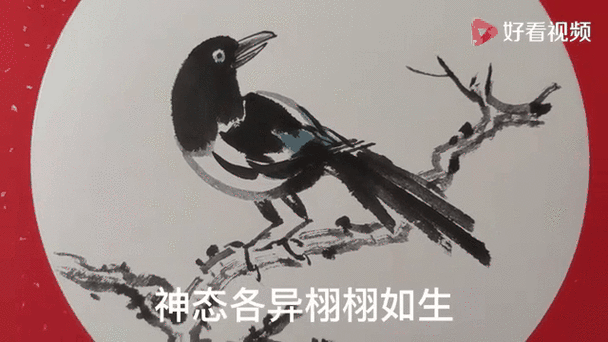 喜鹊儿app登录不上去怎么办